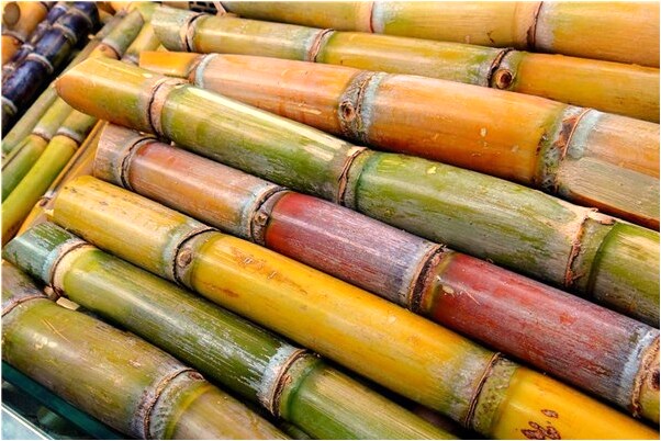 夢到了起灶台後牆垮塌是什麼預兆？_周公解夢官網