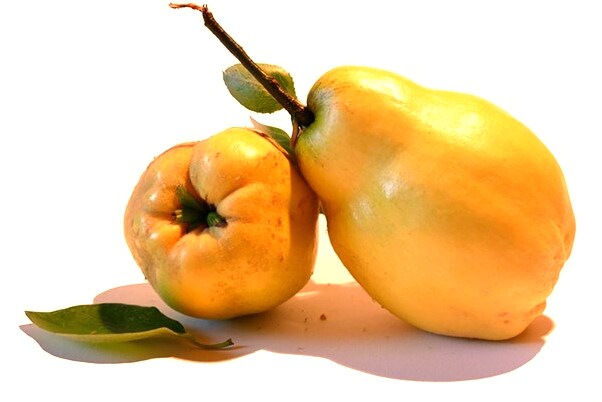 夢到有人在廁所吐什麼預兆_周公解夢官網