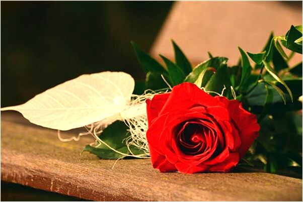 夢見被紅衣女人迷住昏迷不醒是什麼徵兆_周公解夢官網