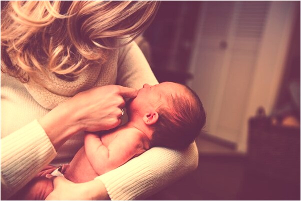 夢到幾條狗怎么回事_周公解夢官網