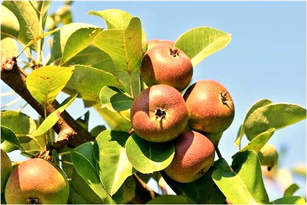 夢到了脫光衣服有什麼意思嗎_周公解夢官網