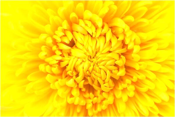 夢見椅子可以當汽車開是吉兆嗎?_周公解夢官網