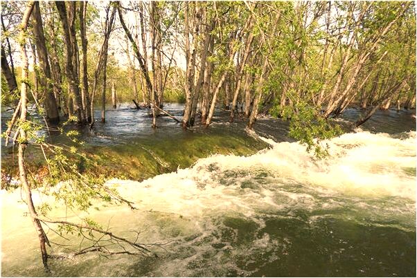 夢到了讓別人閉嘴有什麼意義嗎_周公解夢官網