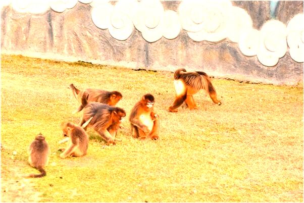 夢見雨水從窗戶進屋並打濕腳是凶兆還是吉兆_周公解夢官網