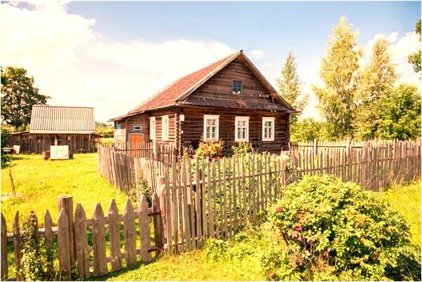 夢到狗幫我脫離危險代表著什麼_周公解夢官網