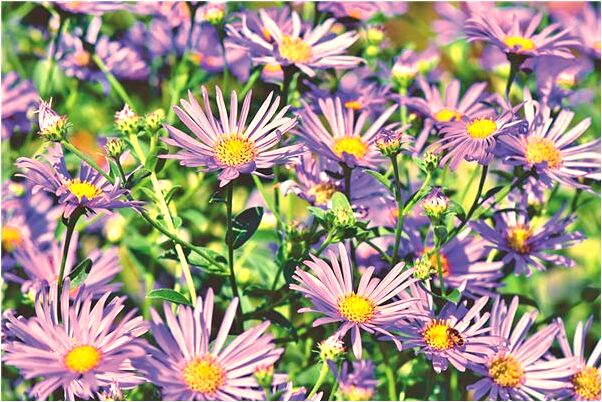 夢見鬼嚇死人預示什麼_周公解夢官網