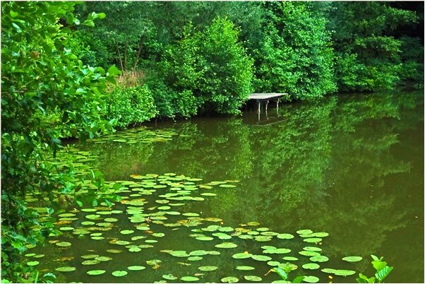 夢見兩個班合在一起上課有什麼預兆_周公解夢官網