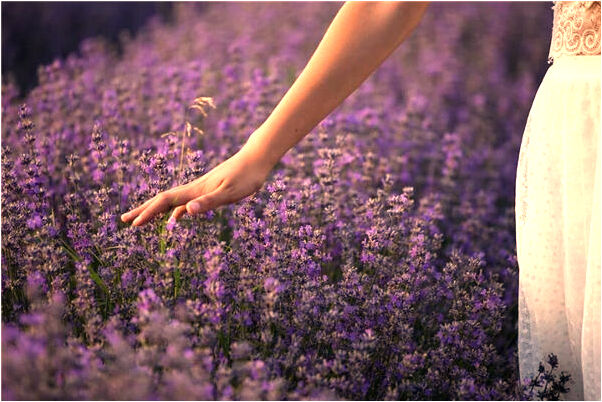 夢到自己從高處摔下來了有什麼意思_周公解夢官網