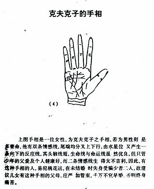 G KeZi palm diagram