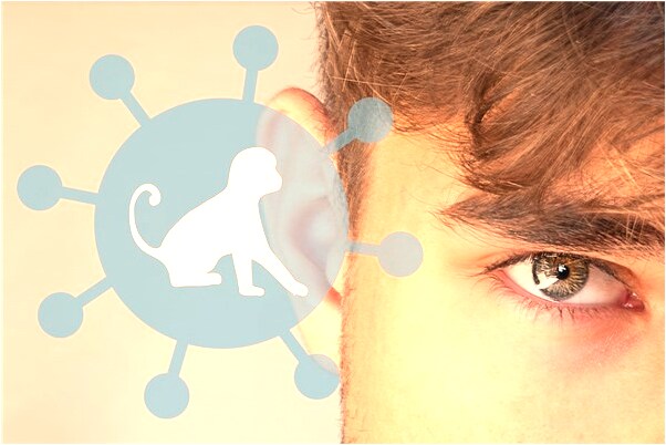 夢到了給別人化妝怎么樣_周公解夢官網