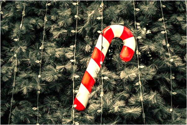 夢到了我好吃了烏龜是啥意思_周公解夢官網