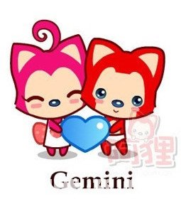 For Gemini work environment _ the zodiac