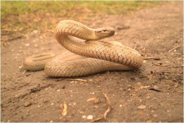 夢到沒結婚自己的婚房代表著什麼？_周公解夢官網