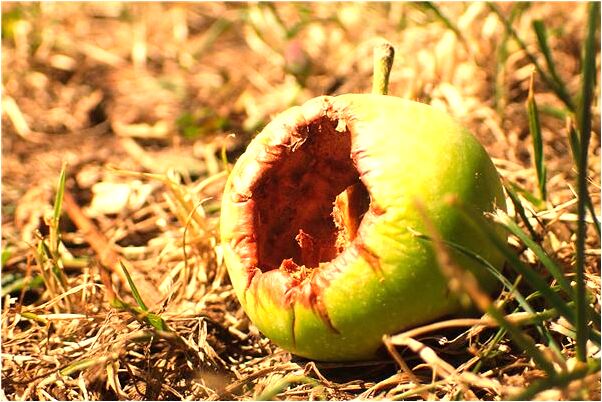 夢到了自己是蛋是什麼兆頭_周公解夢官網