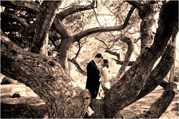 夢到了送喪的連續有幾家是咋回事_周公解夢官網