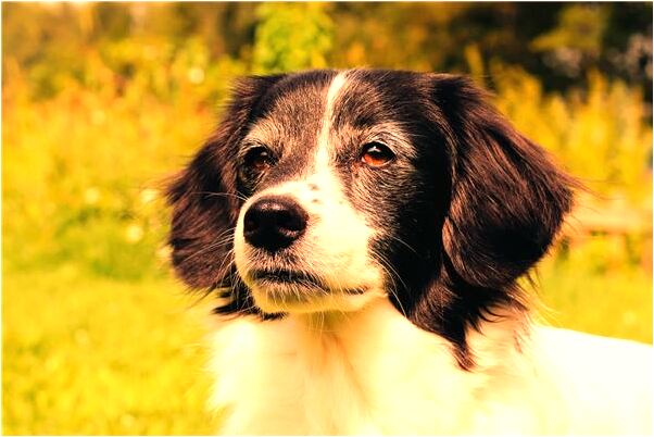 夢到把人家房子燒著了有什麼寓意嗎_周公解夢官網