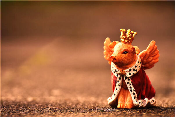 夢見栽秧子的預兆_周公解夢官網