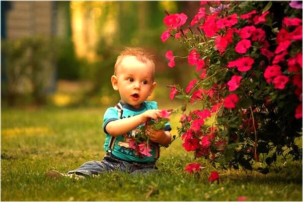 夢到了很多綠色食品代表什麼_周公解夢官網