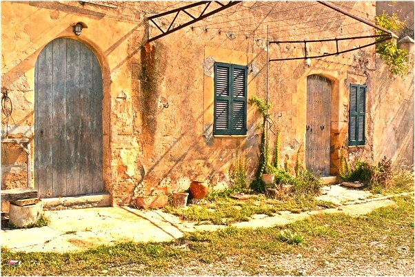 夢見蛇皮會意味著什麼_周公解夢官網