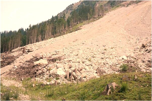 夢到水沖泥是啥預兆_周公解夢官網