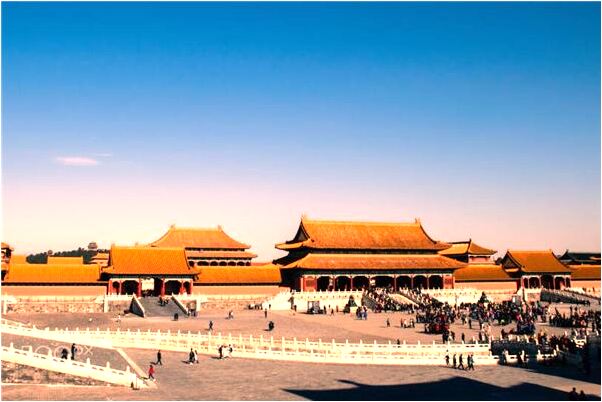 夢到了光禿禿的樹是怎么回事_周公解夢官網