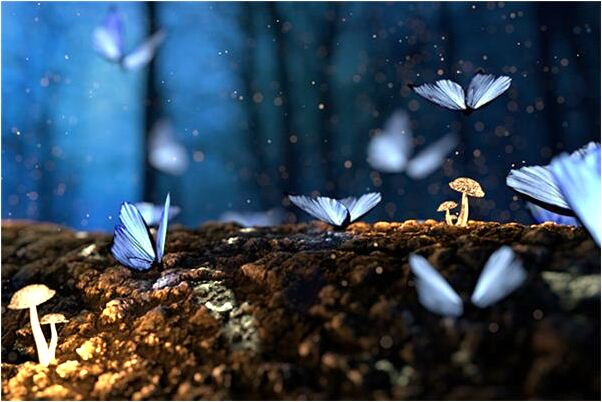 夢見男人白色蟒蛇預示了什麼_周公解夢官網