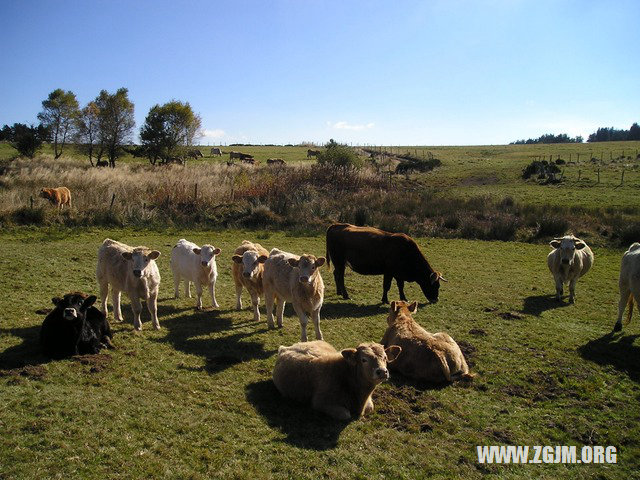 夢見孕婦月經_周公解夢夢到孕婦月經是什麼意思_做夢夢見孕婦月經好不好_周公解夢官網