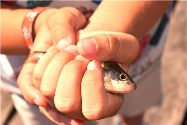 夢到了被舌追著咬沒咬住有什麼含義_周公解夢官網