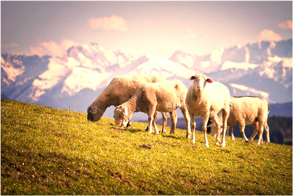 夢見自由光身會有什麼預兆_周公解夢官網