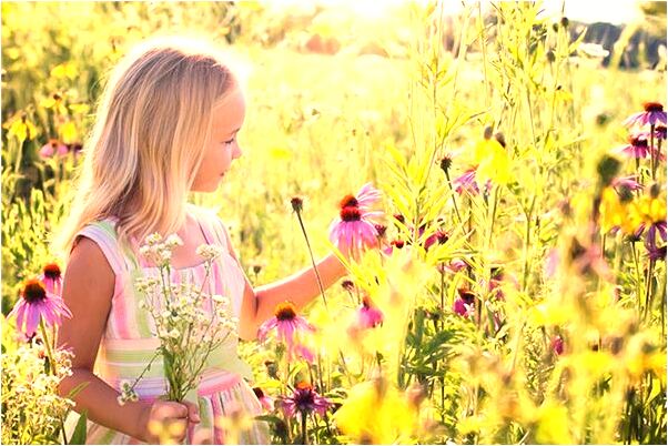 夢到了兩條小黑蛇一條小白蛇是什麼意思_周公解夢官網