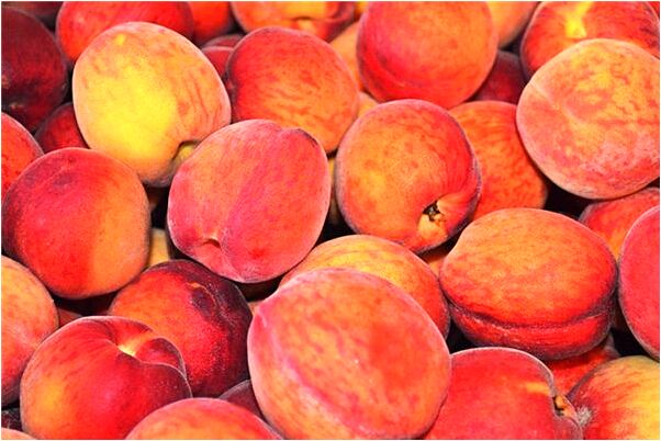 夢到了真皮沙發好不好_周公解夢官網