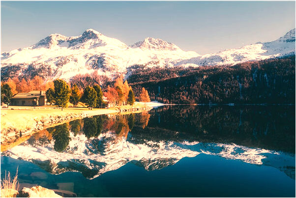 夢見魚刺卡在牙床上預示了什麼_周公解夢官網