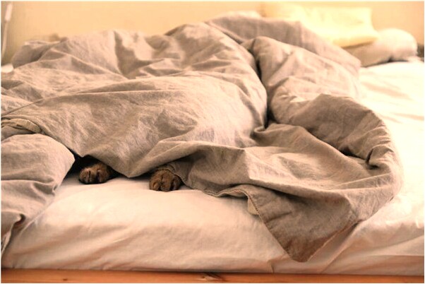 夢到了見已故的媽媽滿臉笑容是什麼意思_周公解夢官網