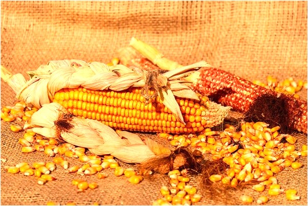 夢到了自己睡垃圾旁是凶兆還是吉兆_周公解夢官網