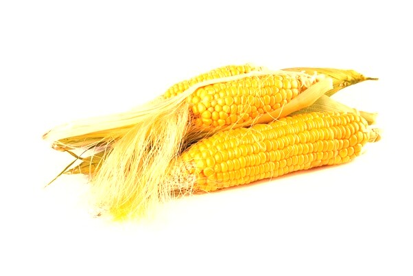 夢到鳥窩裡有鳥和鳥蛋有何寓意_周公解夢官網