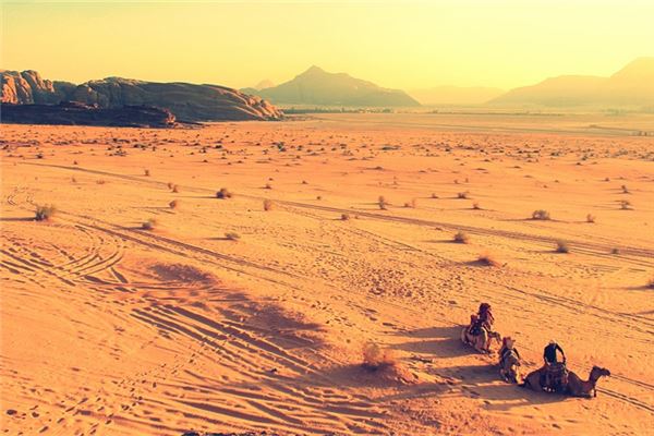 夢到去非洲是什麼預兆_周公解夢