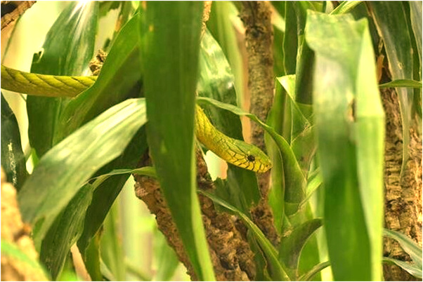 夢到了有一個男人摸我手會有什麼預兆_周公解夢官網