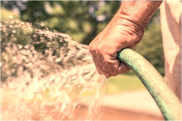 夢到一隻大老鼠在家裡逃竄是不是好的徵兆呢_周公解夢官網