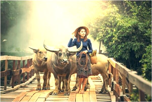 夢到了上山摘酸棗卻么有什麼寓意嗎_周公解夢官網