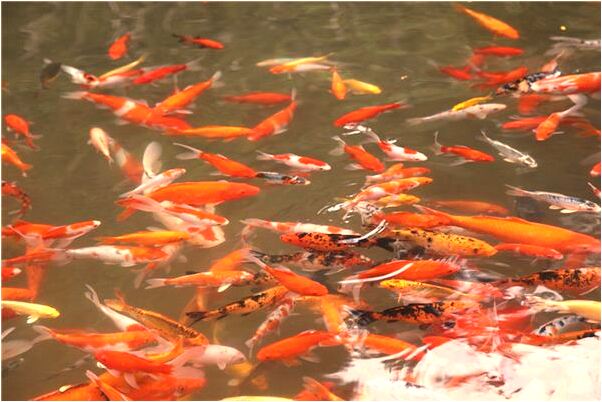 夢到了睡覺的時候感覺從懸崖跌落有什麼預兆_周公解夢官網