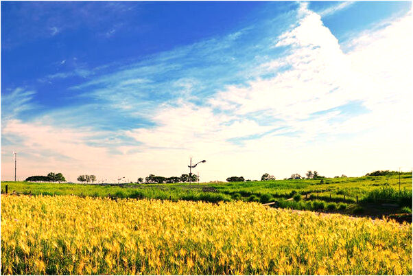 夢到別的夫妻打架的預兆_周公解夢官網