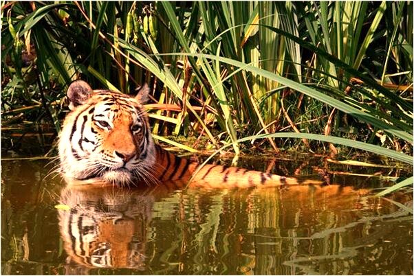 夢到了很努力的爬山有什麼意思_周公解夢官網