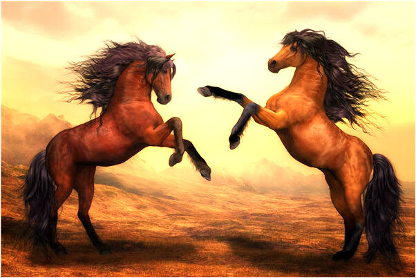 夢見和鄰居上床有什麼寓意嗎_周公解夢官網