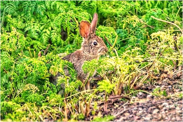 夢見把屎拉褲子裡了代表著什麼？_周公解夢官網