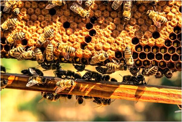 夢到自己找到很多錢是啥意思_周公解夢官網