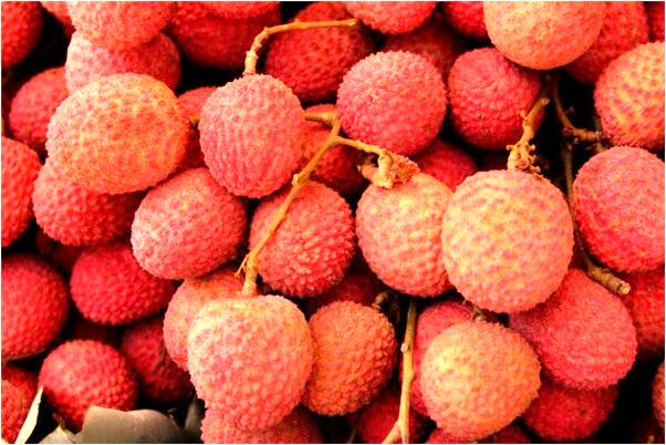 夢到媽媽死而復生是吉兆嗎?_周公解夢官網