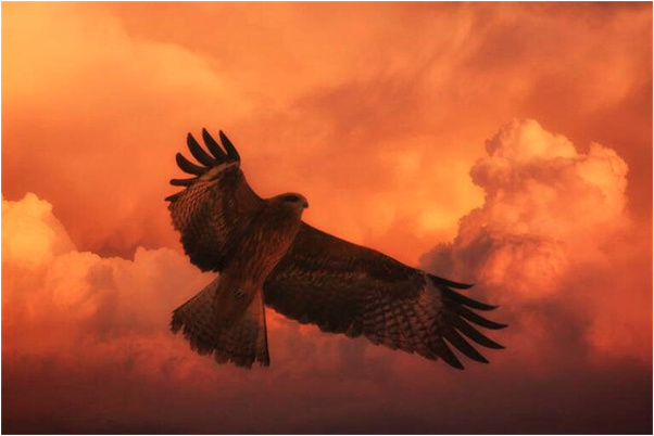 夢到一次小蛇被夾死是好的徵兆嗎_周公解夢官網