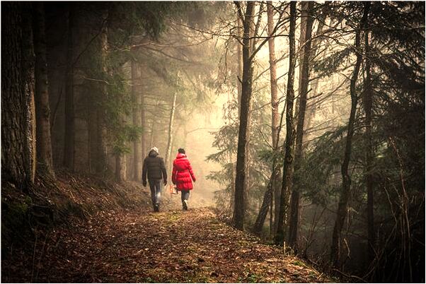 夢見穿著兩雙鞋預示了什麼_周公解夢官網