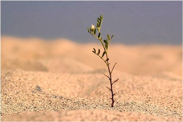 夢到兒子沒奶水吃有什麼說法_周公解夢官網