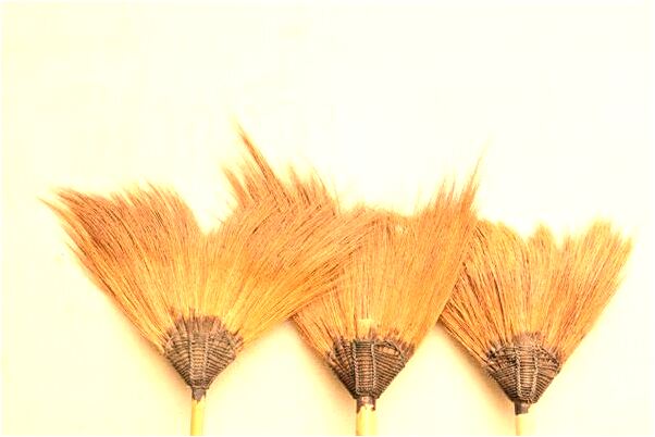 夢見家庭主婦樹新木房會怎么樣_周公解夢官網